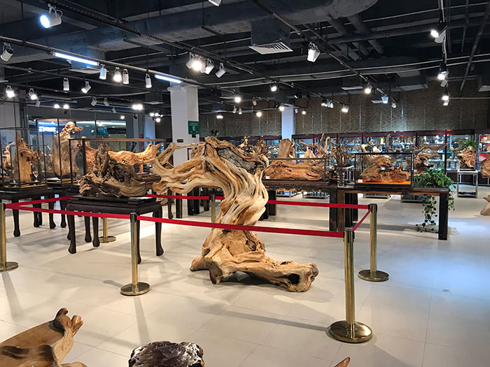 展馆展厅-3